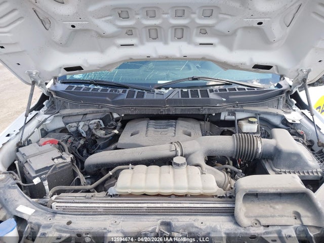 Продажа на аукционе авто 2023 Ford F150 Super Cab, vin: 1FTFX1E82PKD03080, номер лота: 12594674
