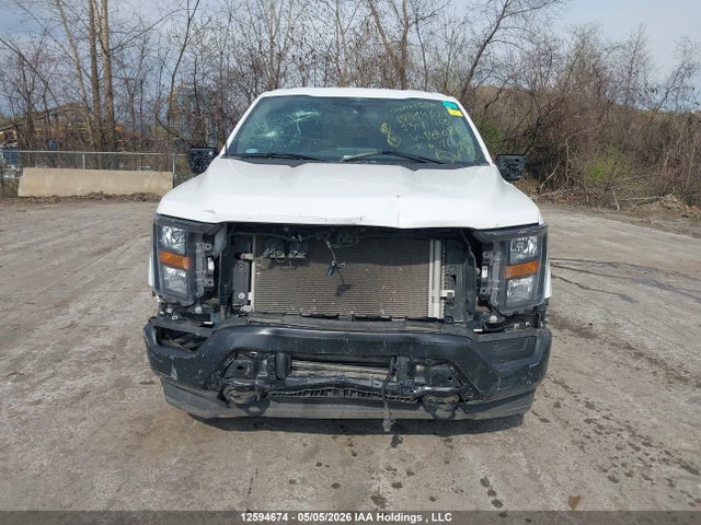 Продажа на аукционе авто 2023 Ford F150 Super Cab, vin: 1FTFX1E82PKD03080, номер лота: 12594674