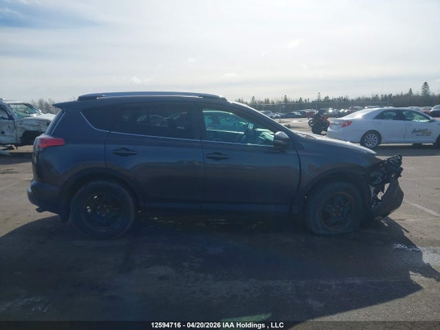 2016 Toyota Rav4 Xle მანქანა იყიდება აუქციონზე, vin: 2T3WFREVXGW244004, აუქციონის ნომერი: 12594716