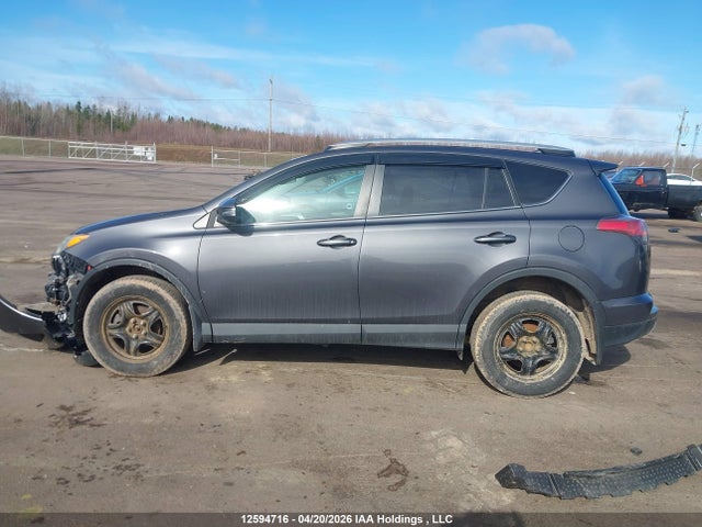 2016 Toyota Rav4 Xle მანქანა იყიდება აუქციონზე, vin: 2T3WFREVXGW244004, აუქციონის ნომერი: 12594716