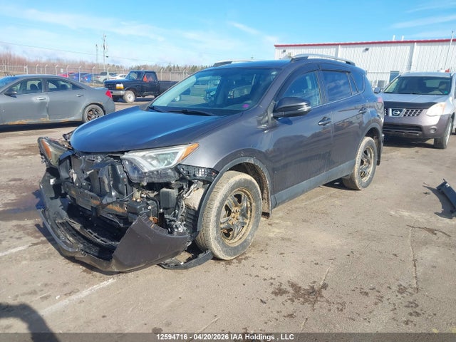 2016 Toyota Rav4 Xle მანქანა იყიდება აუქციონზე, vin: 2T3WFREVXGW244004, აუქციონის ნომერი: 12594716