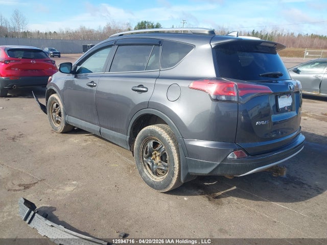 2016 Toyota Rav4 Xle მანქანა იყიდება აუქციონზე, vin: 2T3WFREVXGW244004, აუქციონის ნომერი: 12594716