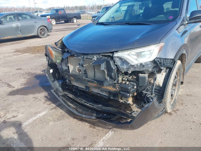 2016 Toyota Rav4 Xle მანქანა იყიდება აუქციონზე, vin: 2T3WFREVXGW244004, აუქციონის ნომერი: 12594716