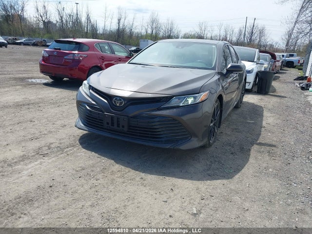 4T1B11HK1KU749575 Toyota Camry L/le/xle/se/xse