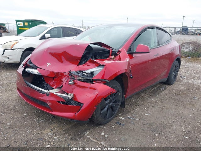 Продаж на аукціоні авто 2024 Tesla Model Y Long Range, vin: 7SAYGDEEXRF203568, номер лоту: 12594834