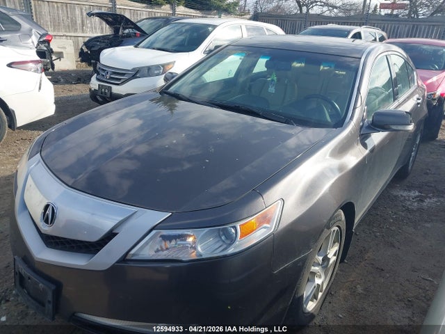 12594933 :رقم المزاد ، 19UUA86509A800886 vin ، 2009 Acura Tl مزاد بيع