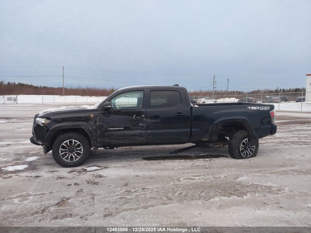 5TFDZ5BNXMX067196 Toyota Tacoma