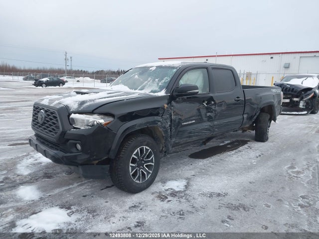 5TFDZ5BNXMX067196 Toyota Tacoma