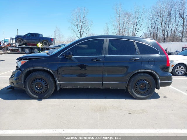 Продажа на аукционе авто 2010 Honda Cr-v Exl, vin: 5J6RE4H76AL806503, номер лота: 12594966