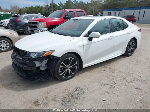 4T1B11HK8KU231611 Toyota Camry L/le/xle/se/xse