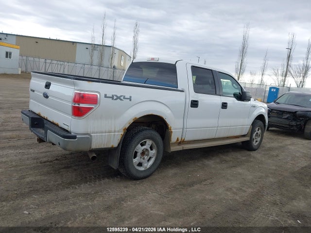 Продаж на аукціоні авто 2013 Ford F150 Supercrew, vin: 1FTFW1EF1DFB77655, номер лоту: 12595239