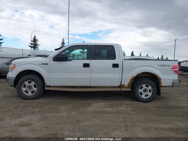 Продаж на аукціоні авто 2013 Ford F150 Supercrew, vin: 1FTFW1EF1DFB77655, номер лоту: 12595239