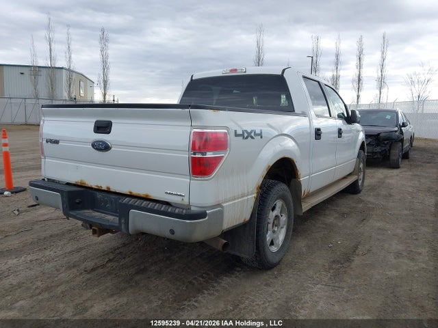 Продаж на аукціоні авто 2013 Ford F150 Supercrew, vin: 1FTFW1EF1DFB77655, номер лоту: 12595239