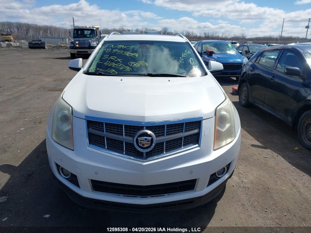 Продаж на аукціоні авто 2011 Cadillac Srx, vin: 3GYFNFEY1BS526575, номер лоту: 12595308