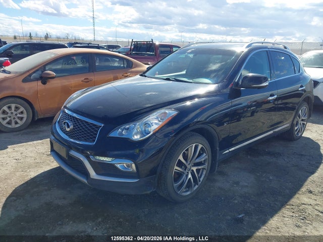 JN1BJ0RR8GM267481 Infiniti QX50
