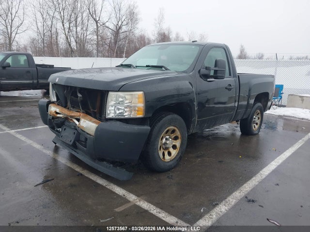 2009 Chevrolet Silverado 1500 Lt/wt მანქანა იყიდება აუქციონზე, vin: 1GCEC14CX9Z263760, აუქციონის ნომერი: 12573567