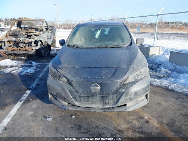 2023 Nissan Leaf Sv მანქანა იყიდება აუქციონზე, vin: 1N4AZ1CV7PC558563, აუქციონის ნომერი: 12539860