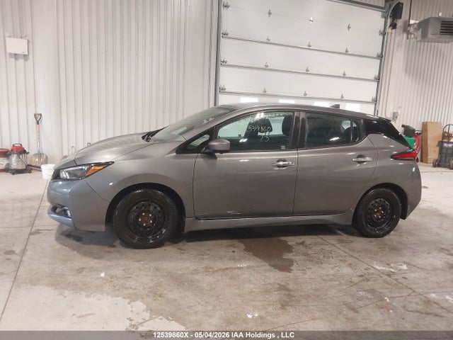 2023 Nissan Leaf Sv მანქანა იყიდება აუქციონზე, vin: 1N4AZ1CV7PC558563, აუქციონის ნომერი: 12539860