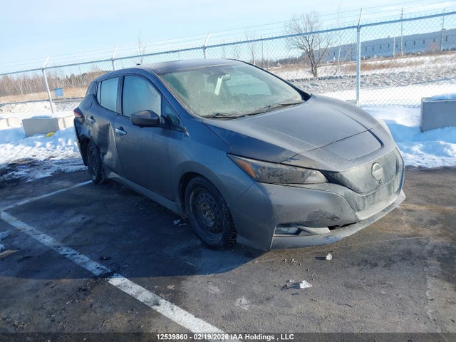 2023 Nissan Leaf Sv მანქანა იყიდება აუქციონზე, vin: 1N4AZ1CV7PC558563, აუქციონის ნომერი: 12539860