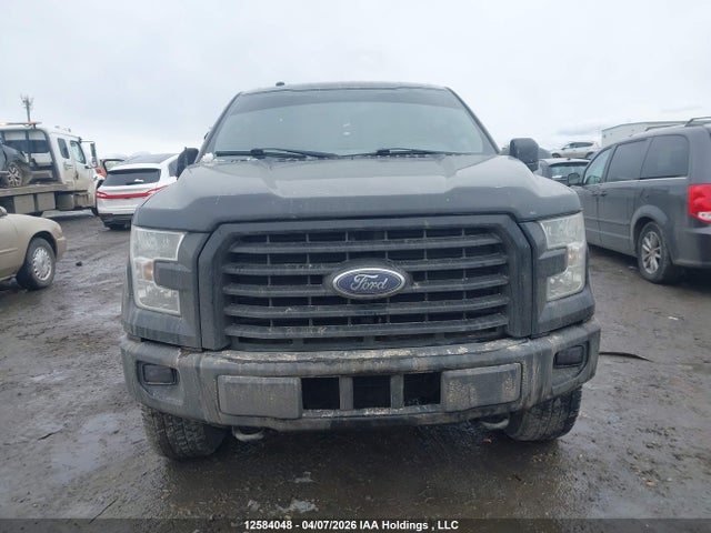 Продаж на аукціоні авто 2017 Ford F-150 Xlt, vin: 1FTEW1EF7HFB70923, номер лоту: 12584048