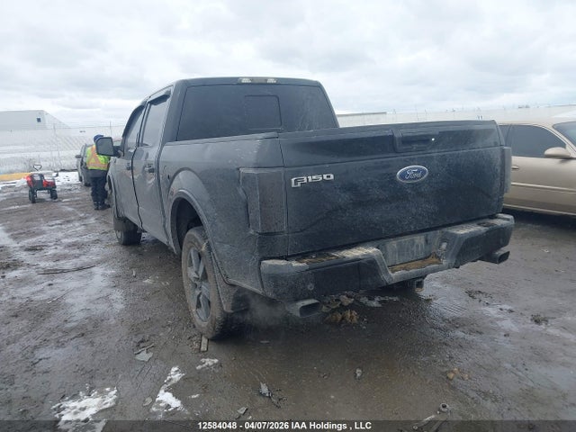 Продаж на аукціоні авто 2017 Ford F-150 Xlt, vin: 1FTEW1EF7HFB70923, номер лоту: 12584048