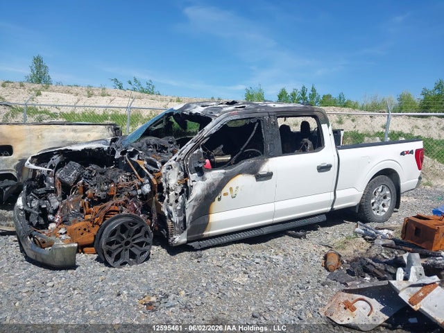 Продажа на аукционе авто 2022 Ford F-150 Xlt, vin: 1FTFW1E81NKD14491, номер лота: 12595461
