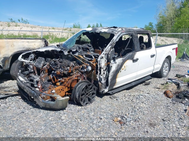 Продажа на аукционе авто 2022 Ford F-150 Xlt, vin: 1FTFW1E81NKD14491, номер лота: 12595461