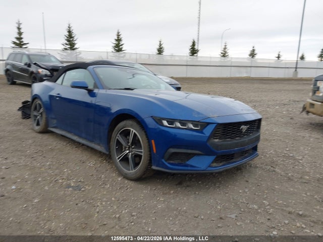 Ford Mustang 2024 1FAGP8UH0R5104888 Image 1