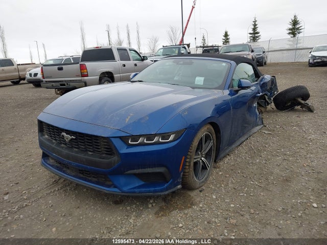 Ford Mustang 2024 1FAGP8UH0R5104888 Image 2
