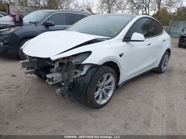12595558 :رقم المزاد ، LRWYGDFD2PC955405 vin ، 2023 Tesla Model Y Rwd مزاد بيع