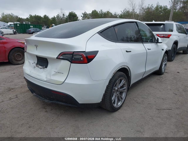12595558 :رقم المزاد ، LRWYGDFD2PC955405 vin ، 2023 Tesla Model Y Rwd مزاد بيع