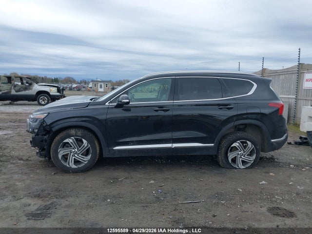 2023 Hyundai Santa Fe Preferred Awd With Trend Package მანქანა იყიდება აუქციონზე, vin: 5NMS3DAJ2PH490398, აუქციონის ნომერი: 12595589