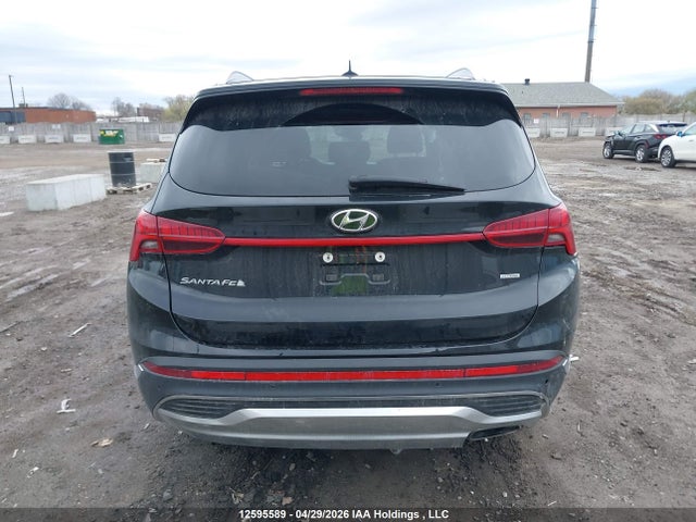 2023 Hyundai Santa Fe Preferred Awd With Trend Package მანქანა იყიდება აუქციონზე, vin: 5NMS3DAJ2PH490398, აუქციონის ნომერი: 12595589
