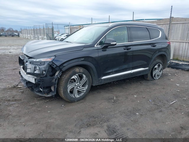 2023 Hyundai Santa Fe Preferred Awd With Trend Package მანქანა იყიდება აუქციონზე, vin: 5NMS3DAJ2PH490398, აუქციონის ნომერი: 12595589