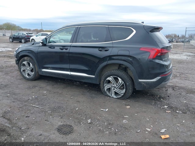 2023 Hyundai Santa Fe Preferred Awd With Trend Package მანქანა იყიდება აუქციონზე, vin: 5NMS3DAJ2PH490398, აუქციონის ნომერი: 12595589