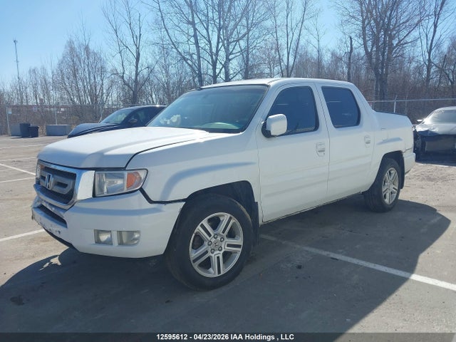 Продажа на аукционе авто 2010 Honda Ridgeline Rtl, vin: 5FPYK1F56AB502463, номер лота: 12595612