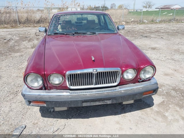 12595648 :رقم المزاد ، SAJBN1047HC478219 vin ، 1987 Jaguar Xj12 مزاد بيع