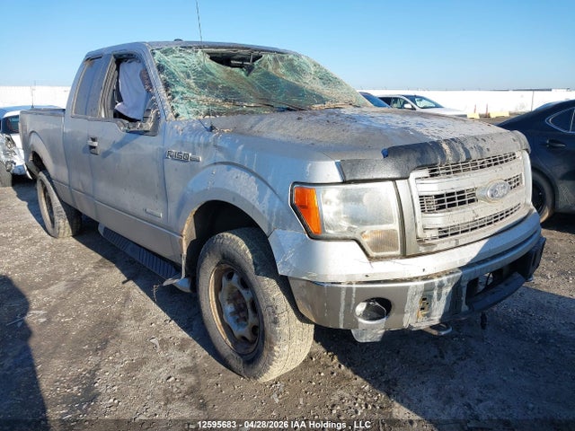 12595683 :رقم المزاد ، 1FTFX1ET7DFA81340 vin ، 2013 Ford F-150 Xlt مزاد بيع