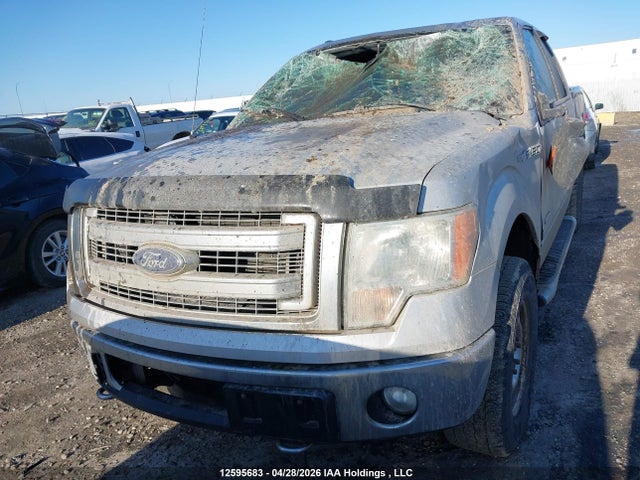 12595683 :رقم المزاد ، 1FTFX1ET7DFA81340 vin ، 2013 Ford F-150 Xlt مزاد بيع
