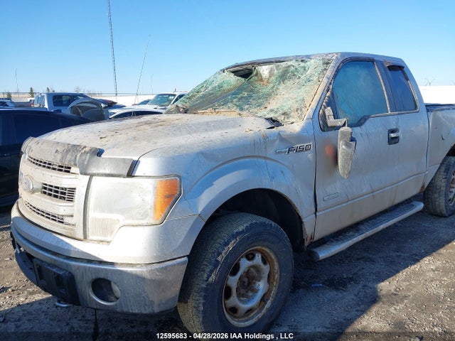 12595683 :رقم المزاد ، 1FTFX1ET7DFA81340 vin ، 2013 Ford F-150 Xlt مزاد بيع