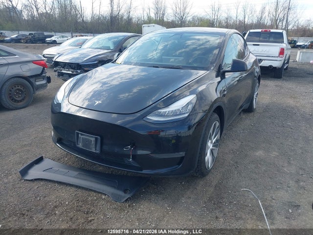 12595716 :رقم المزاد ، 5YJYGDEE2LF045067 vin ، 2020 Tesla Model Y Long Range مزاد بيع