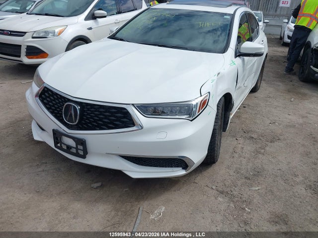 19UUB3F56JA801951 Acura TLX TECH
