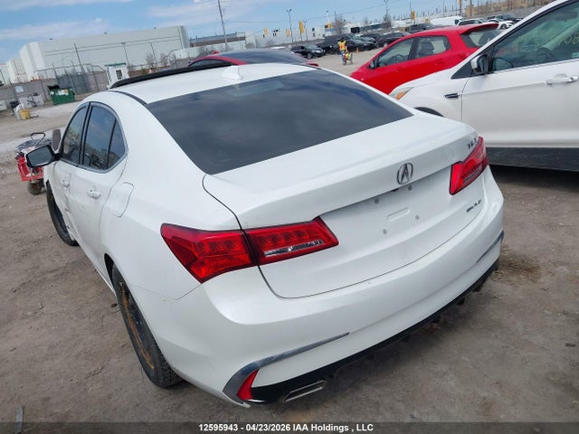19UUB3F56JA801951 Acura TLX TECH