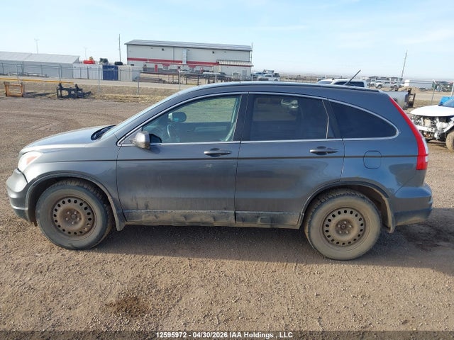Aukcja sprzedaży 2010 Honda Cr-v Ex-l, vin: 5J6RE4H70AL819621, numer aukcji: 12595972