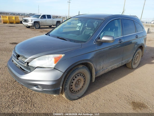 Aukcja sprzedaży 2010 Honda Cr-v Ex-l, vin: 5J6RE4H70AL819621, numer aukcji: 12595972