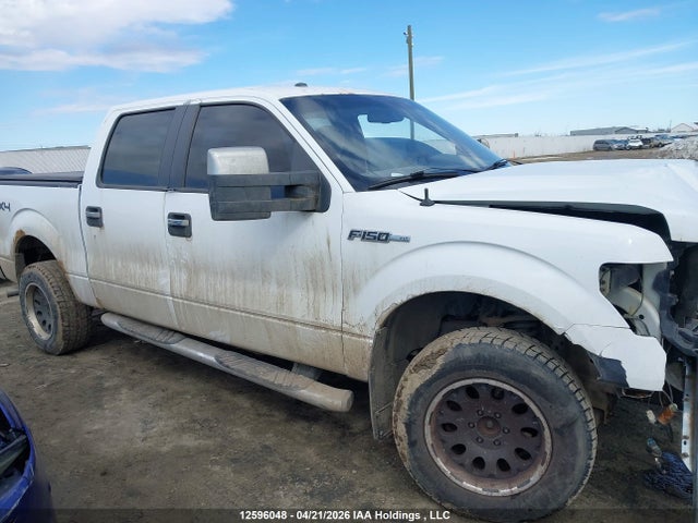12596048 :رقم المزاد ، 1FTPW14V19KC86760 vin ، 2009 Ford F-150 Fx4/king Ranch/lariat/platinum Package/xlt مزاد بيع