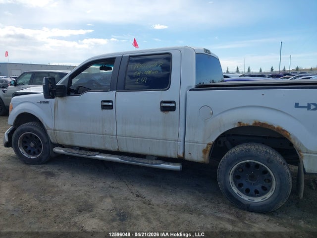 12596048 :رقم المزاد ، 1FTPW14V19KC86760 vin ، 2009 Ford F-150 Fx4/king Ranch/lariat/platinum Package/xlt مزاد بيع