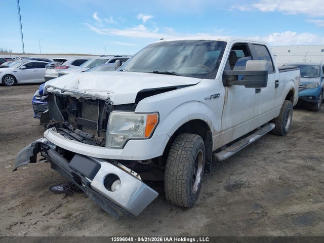 12596048 :رقم المزاد ، 1FTPW14V19KC86760 vin ، 2009 Ford F-150 Fx4/king Ranch/lariat/platinum Package/xlt مزاد بيع