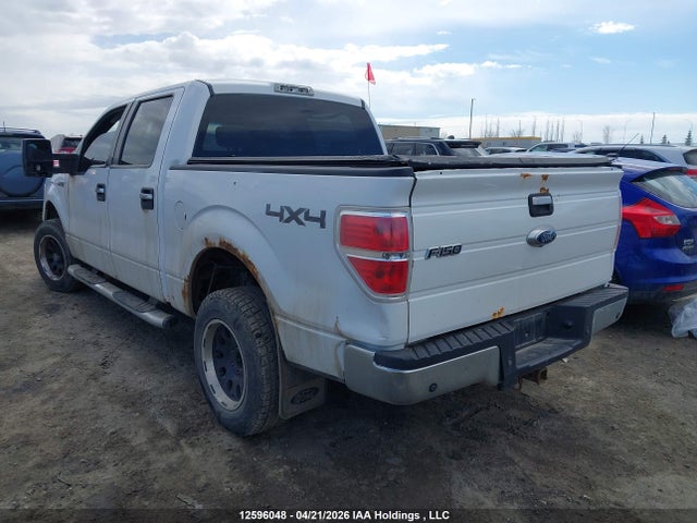12596048 :رقم المزاد ، 1FTPW14V19KC86760 vin ، 2009 Ford F-150 Fx4/king Ranch/lariat/platinum Package/xlt مزاد بيع