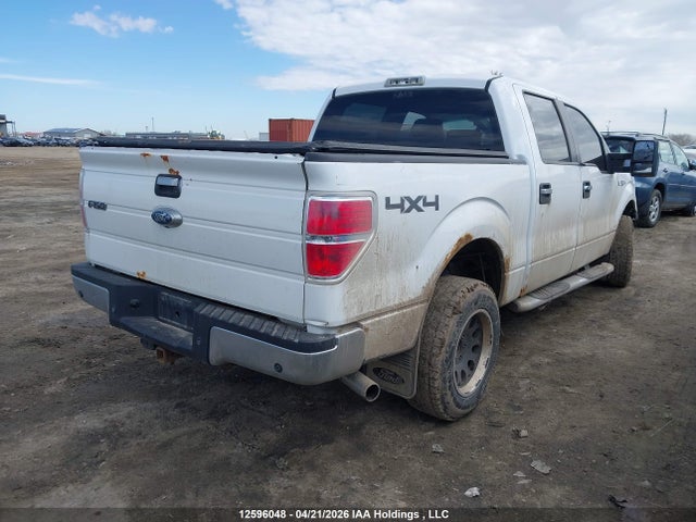 12596048 :رقم المزاد ، 1FTPW14V19KC86760 vin ، 2009 Ford F-150 Fx4/king Ranch/lariat/platinum Package/xlt مزاد بيع